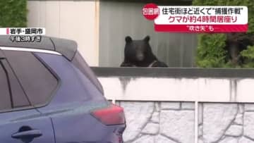 クマ捕獲作戦　“吹き矢”も…　盛岡駅近く、原敬記念館に居座り約4時間