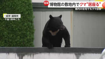 クマの出没相次ぐ　岩手の博物館に侵入し捕獲　秋田で4人襲撃…住宅“居座り”　“九死に一生”男性「攻撃力や速さ想像絶する」