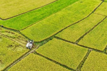 中国、秋の穀物収穫が約7割完了
