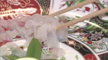 物価高のなか高級魚フグが“お手頃”価格で人気　寿司店「安定した漁獲量」「規制緩和で届け出不要」で取り扱い拡大