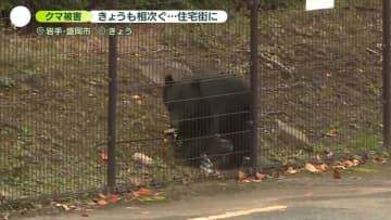 秋田・湯沢市でクマが人を次々と襲い…住宅に居座り続ける　東京都内でも目撃情報