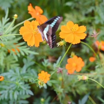 近況報告ですm(._.)m