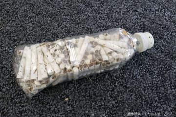 店の駐車場に「大量の吸い殻」入りペットボトルを投棄　悪質な犯行に「タバコは害しかない」の声