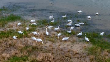 国家重要湿地に22カ所を追加、生態系の質と安定性の向上目指す―中国