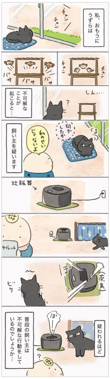 「飼い主、何かやらかしたな」猫の視線が突き刺さる【連載】ねこ連れ草 343話め