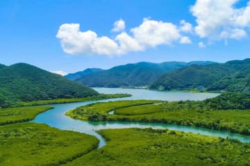奄美大島ひとり旅、みんなの「行ってよかった！」
