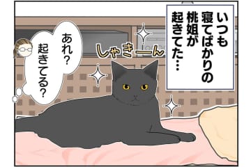 【マンガ・老猫日誌＃37】同じ姿勢を保つ老猫？ 18歳の元保護猫・桃姐
