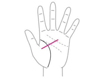 運命の人との出会いの時期を知ることができる『恋愛線』とは！？【手相の教科書】