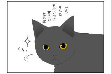 【マンガ・老猫日誌 ＃4】ソレンシア接種から1カ月…。19歳の元保護猫・桃姐