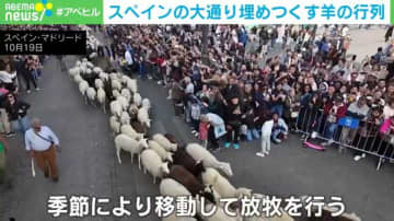 大通りに羊の大群が！2年ぶりの“伝統的なイベント”に多くの人が集結 スペイン
