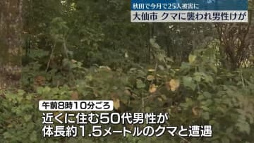 秋田・大仙市でクマに襲われ男性けが　県内の被害、今月25人に