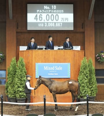 【ミックスセール2025】4億超え飛び出す！キタサンブラック産駒