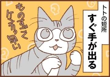 【吉川さん家の猫事情】#115話 ケンカっ早いネコ