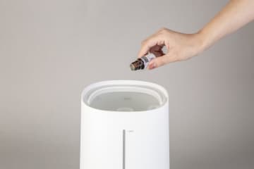 “給水のわずらわしさ”を解決　ニトリ加湿器の最新作は2WAYでさらに便利に