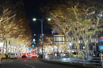 「表参道イルミネーション2025」シャンパンゴールドの光を点灯