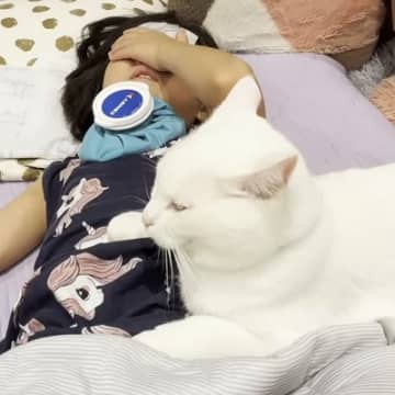 幼い頃からずっと仲良しな女の子と猫→女の子が『体調不良で寝込んでいる』と…「優しさに涙が出た」「想像を遥かに超えた深い絆」と感動の声
