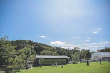 町田薬師池公園「西園」で3大イベント連続開催！マーケット、アートフェス、芝生ヨガで一日中“わくわく”が止まらない！