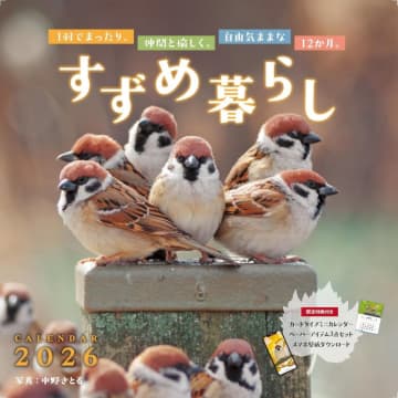 かわいい動物カレンダーが早割セール、すずめ、シマエナガ、パンダ、柴犬！／Amazonの本ストアでインプレスグループのカレンダーがお買い得【Book Watch/セール情報】