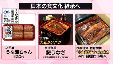 ウナギ「規制強化」で……値上がりのピンチ？　ワシントン条約どうなる　「区別つかない」ニホンウナギも対象？【なるほどッ！】