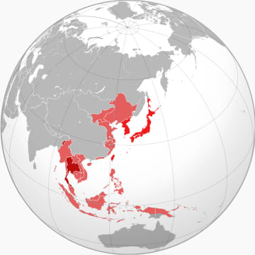 『20世紀前半』なぜ日本は軍国主義に走ってしまったのか？