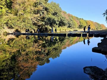 秋の嵐山渓谷の魅力を味わう『嵐山渓谷紅葉まつりイベントDay』を嵐山渓谷バーベキュー場で11月29日、30日に開催