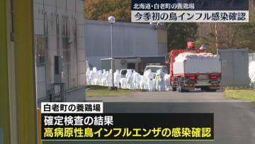 今季初、鳥インフル感染確認　北海道・白老町の養鶏場