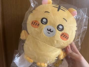 A～D賞までトラだらけ！？ナガノの虎ぬいぐるみくじ引いてみた