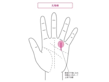人生における幸福度や成功度、金運を知ることができる『太陽線の見方』とは！？【手相の教科書】