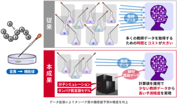 タンパク質の機能予測を省力化