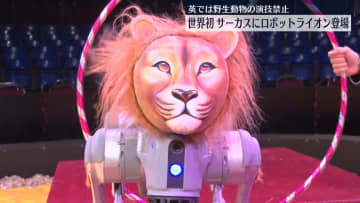 英サーカス団にロボットライオン登場　野生動物の演技禁止で