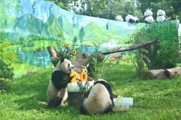 広州動物園のジャイアントパンダ新館が開館、「久久」と「友友」公開―広東省