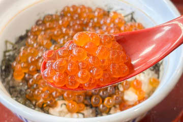 いくらドーン！　なか卯「天然いくら丼」を食べてみた。今年は10月29日発売