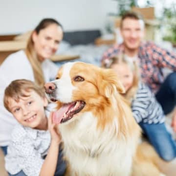 共働きの家で犬を飼うときに考えるべきこと3つ　留守中の安全対策からしつけのポイントまで