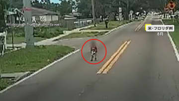 「大変！」道路の真ん中にぽつんと男の子　バスの運転手が保護「孫の顔浮かんで泣きそうに」　アメリカ