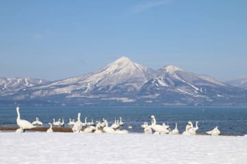 【最大5,000円割引！楽天トラベル限定】温泉やウィンタースポーツをおトクに楽しむ「いなわしろ宿泊割！」予約受付中