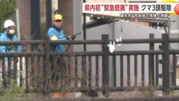 市街地へのクマ出没止まらず　横手市中心部で県内初の“緊急銃猟”　北秋田市では住宅地下の物置に侵入　湯沢市のクマは依然住宅内にとどまる【秋田発】