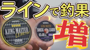 東京湾のアジングはラインで決まる。初心者必見、エステルラインで釣果が劇的に変わる！