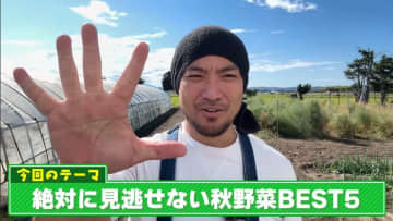 10月に植える野菜おすすめBEST5！ 家庭菜園のプロ直伝・寒くなる前のラストチャンス！