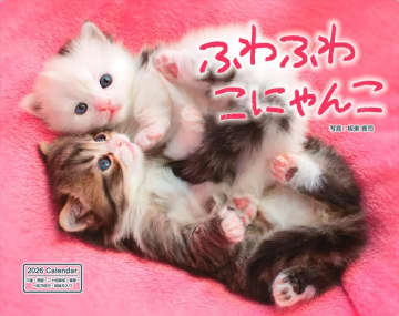 かわいい猫に癒やされまくる！2026年カレンダーが10％OFF／Amazonでインプレスグループのカレンダーが早割セール中【Book Watch/セール情報】