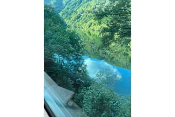 「線路にクマ出てきて停車中」　一人旅の途中で遭遇した“決定的瞬間”　山間で起きた5分間の出来事に衝撃「ホンモノだぁ！」
