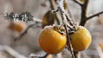 【AI壁紙】二十四節気「霜降」