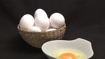 【鳥インフルエンザ】ニワトリ46万羽を殺処分 全国の養鶏場で今シーズン初の感染確認ー卵の価格どうなるー2年前の「エッグショック」の再来は？知事は冷静な行動を呼びかけ＜北海道白老町＞