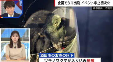 クマ被害止まらず…お寺の床下や民家に出没 山形県の目撃件数が1500件以上にのぼる