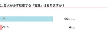 【調査】愛犬が反応するのはどんな言葉？　積極的に使いたい言葉を獣医師が解説