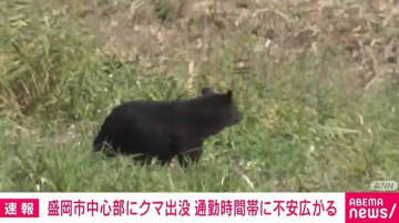 盛岡市中心部にクマ出没 住民に不安広がる