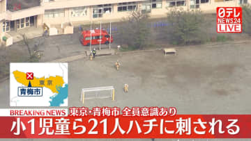 【速報】小学校で1年生の児童ら21人がハチに刺される　東京・青梅市
