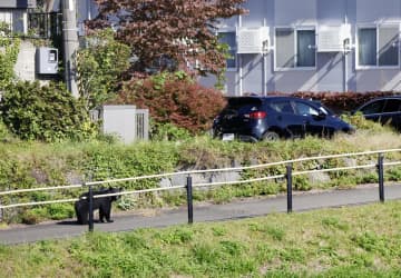 盛岡市中心部にクマ出没　一時騒然、けが人なし