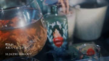 櫻坂46、13thシングルBACKSメンバーによる新曲「木枯らしは泣かない」MV公開と先行配信が決定