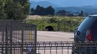 【速報】富山市熊野地域のクマは駆除　県内初の緊急銃猟での発砲