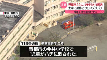 小学校で1年生の児童ら22人がハチに刺され搬送　東京・青梅市